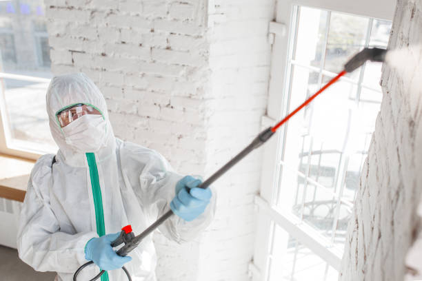 Best Indoor Air Quality Assessment  in Leadville, CO