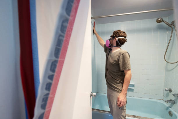 Best Attic Mold Removal  in Leadville, CO