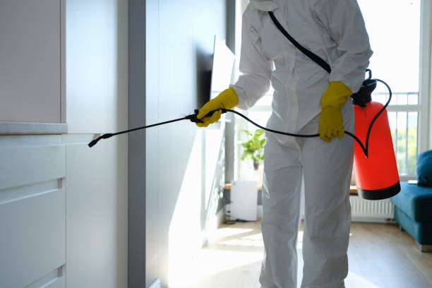 Best Biohazard Mold Removal  in Leadville, CO