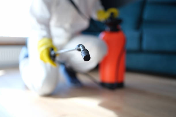 Best Residential Mold Inspection & Testing  in Leadville, CO