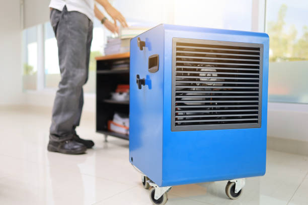 Leadville, CO Mold Removal Company